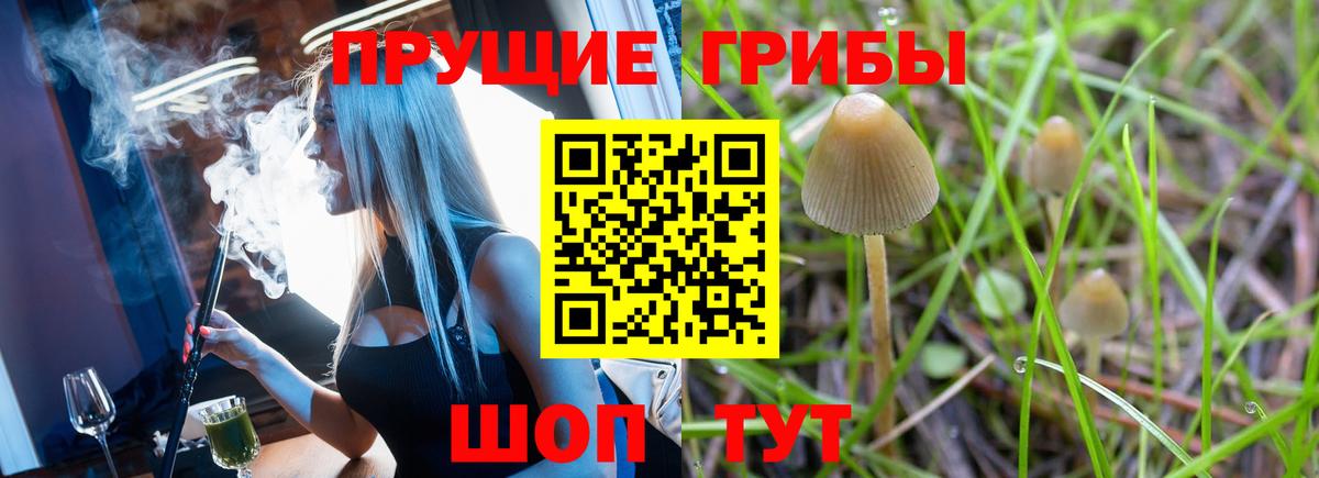 Псилоцибиновые грибы прущие грибы Ефремов