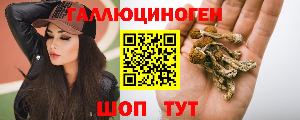Ефремов  Псилоцибиновые грибы Magic Shrooms  Вход с VPN  Галлюциногенные грибы Magic Shrooms 